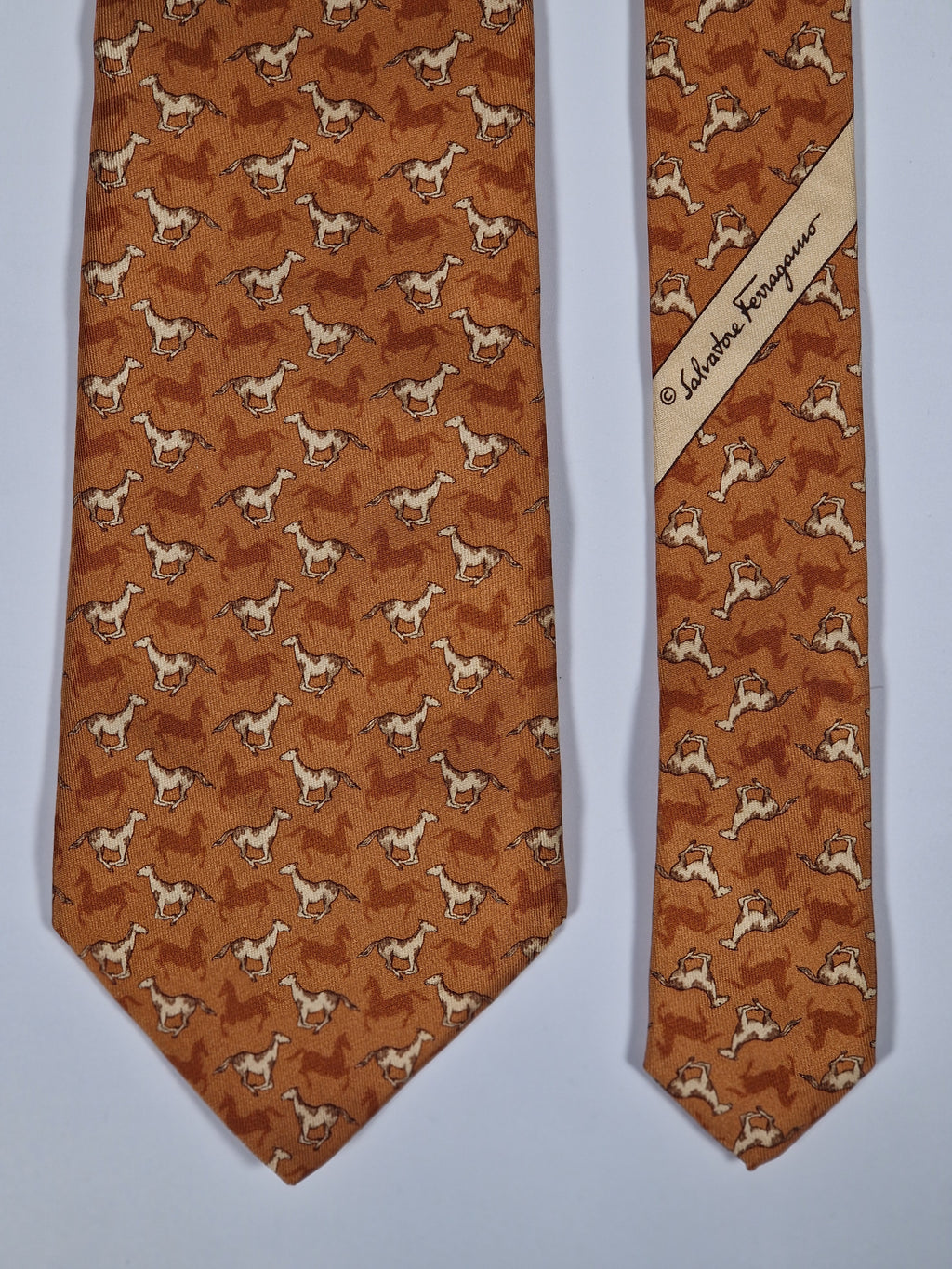 Salvatore Ferragamo Tie