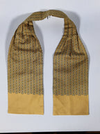 Hermés ascot scarf