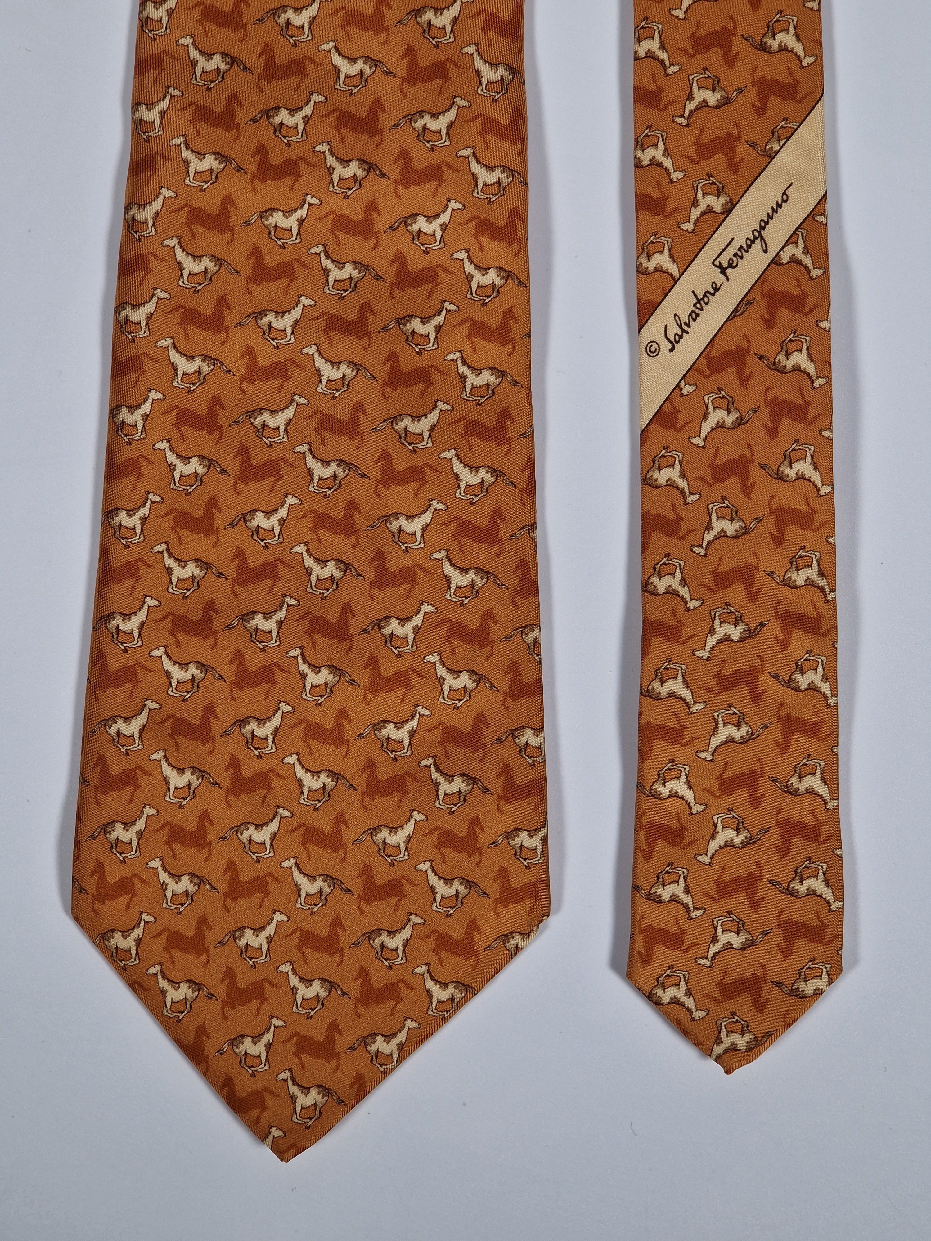 Salvatore Ferragamo tie