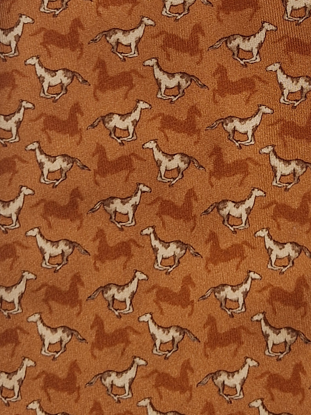 Salvatore Ferragamo tie