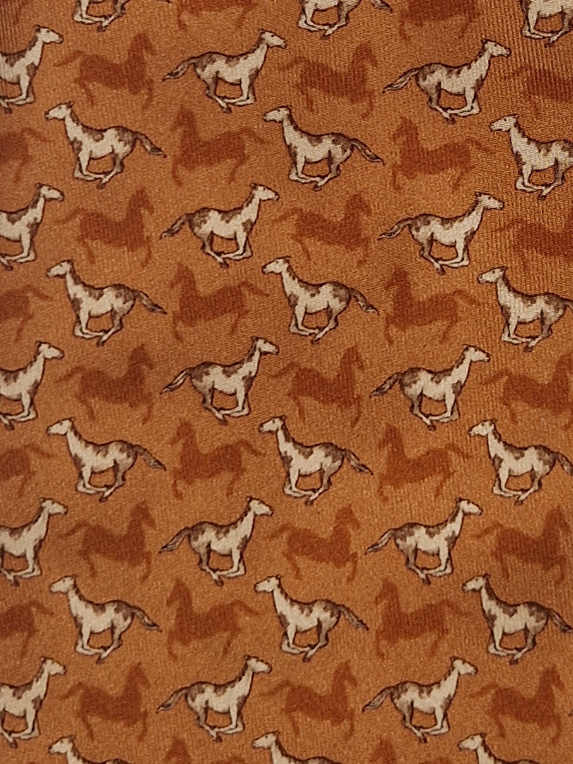 Salvatore Ferragamo tie