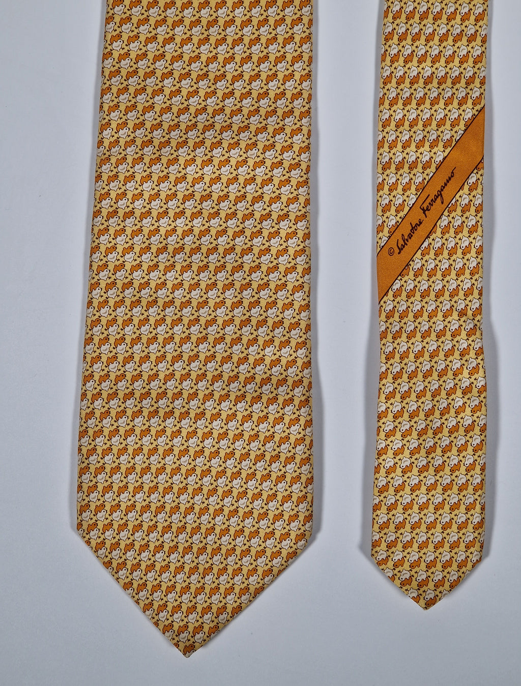 Salvatore Ferragamo tie  with chicks