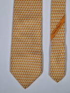 Salvatore Ferragamo tie  with chicks
