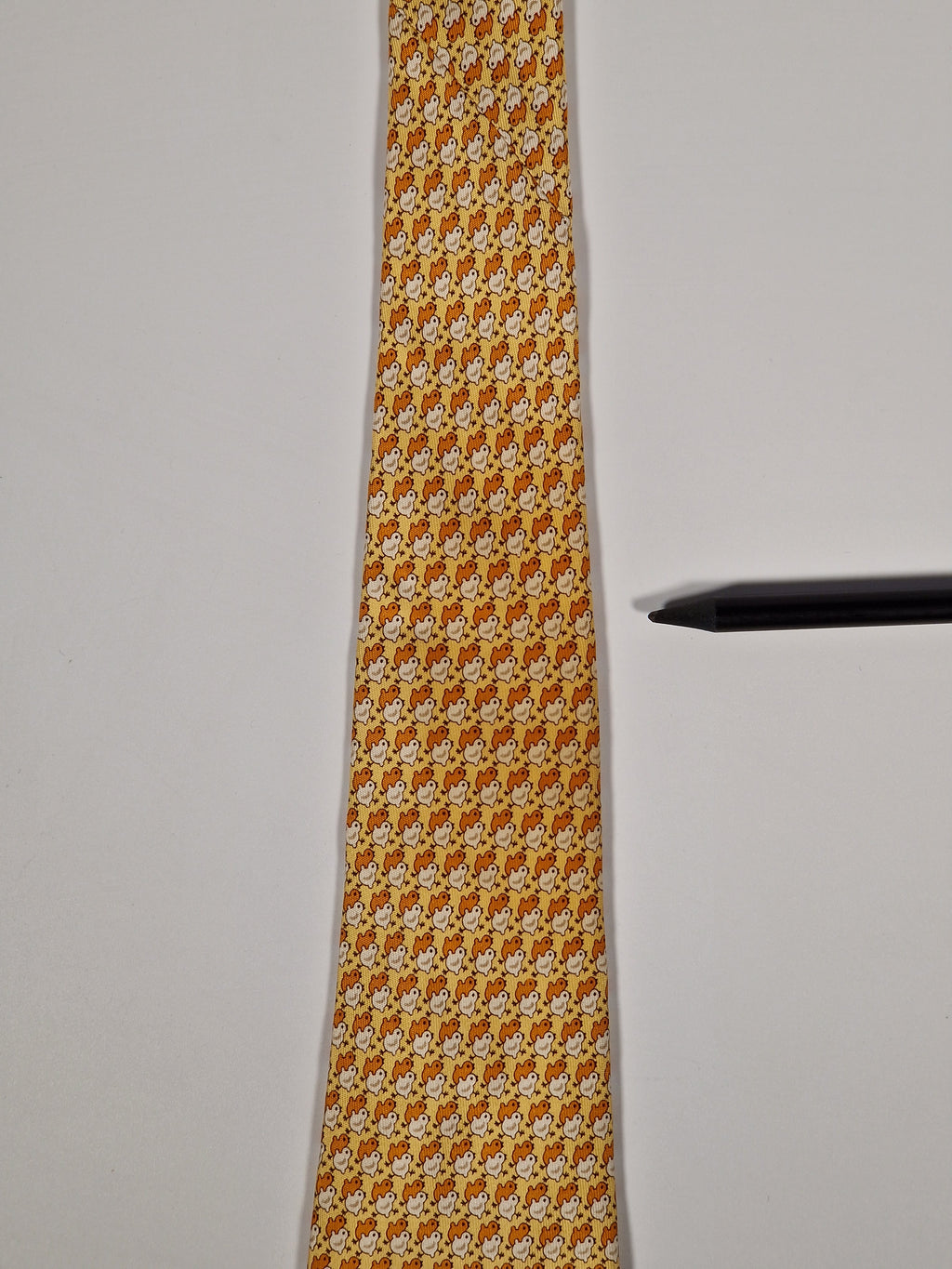 Salvatore Ferragamo tie  with chicks