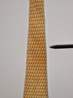 Salvatore Ferragamo tie  with chicks