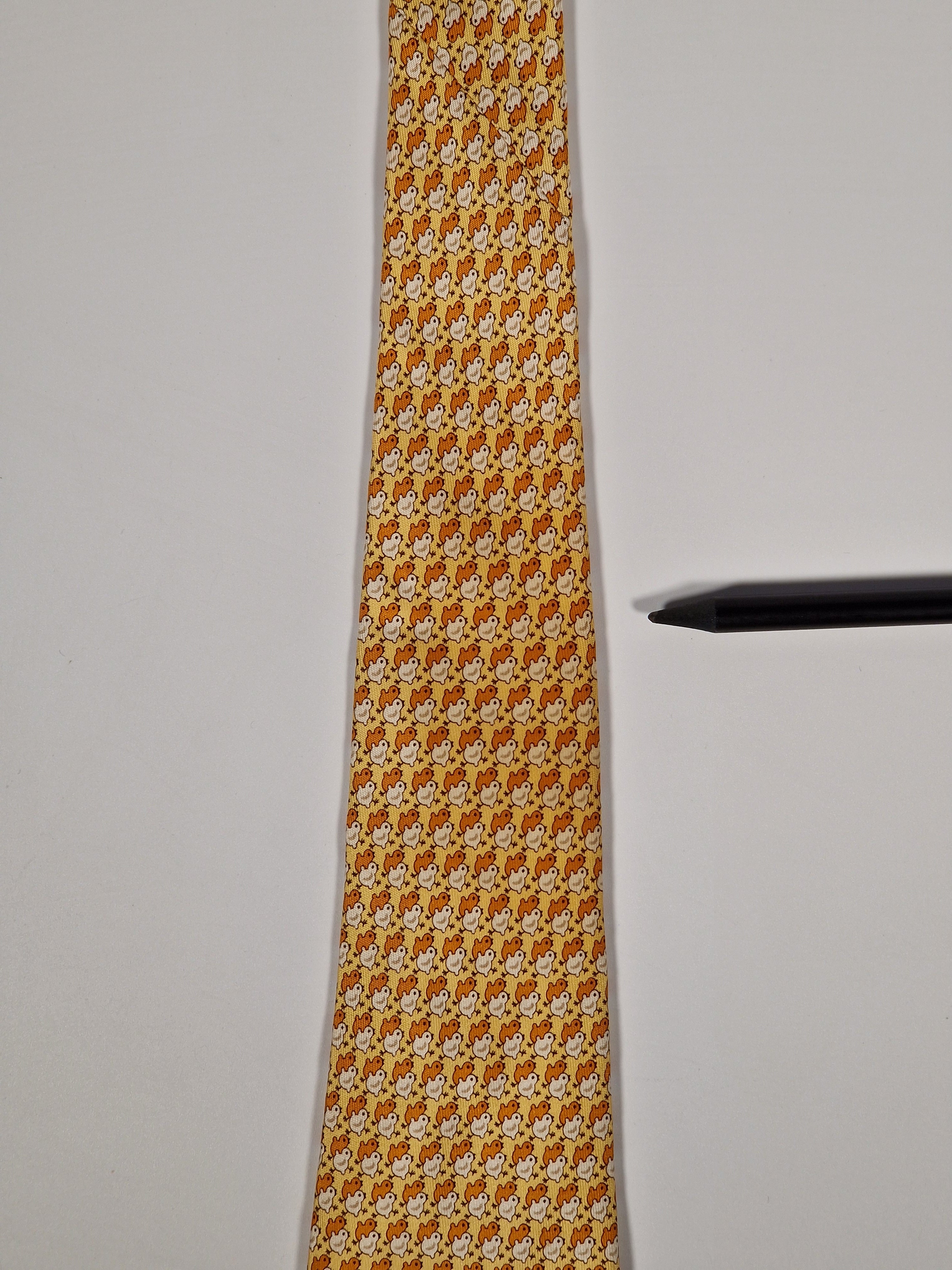 Salvatore Ferragamo tie  with chicks