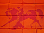 Hermès carre 65 "Zingaro Tokyo 2005"