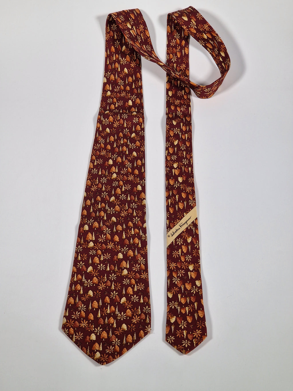 Salvatore Ferragamo Tie
