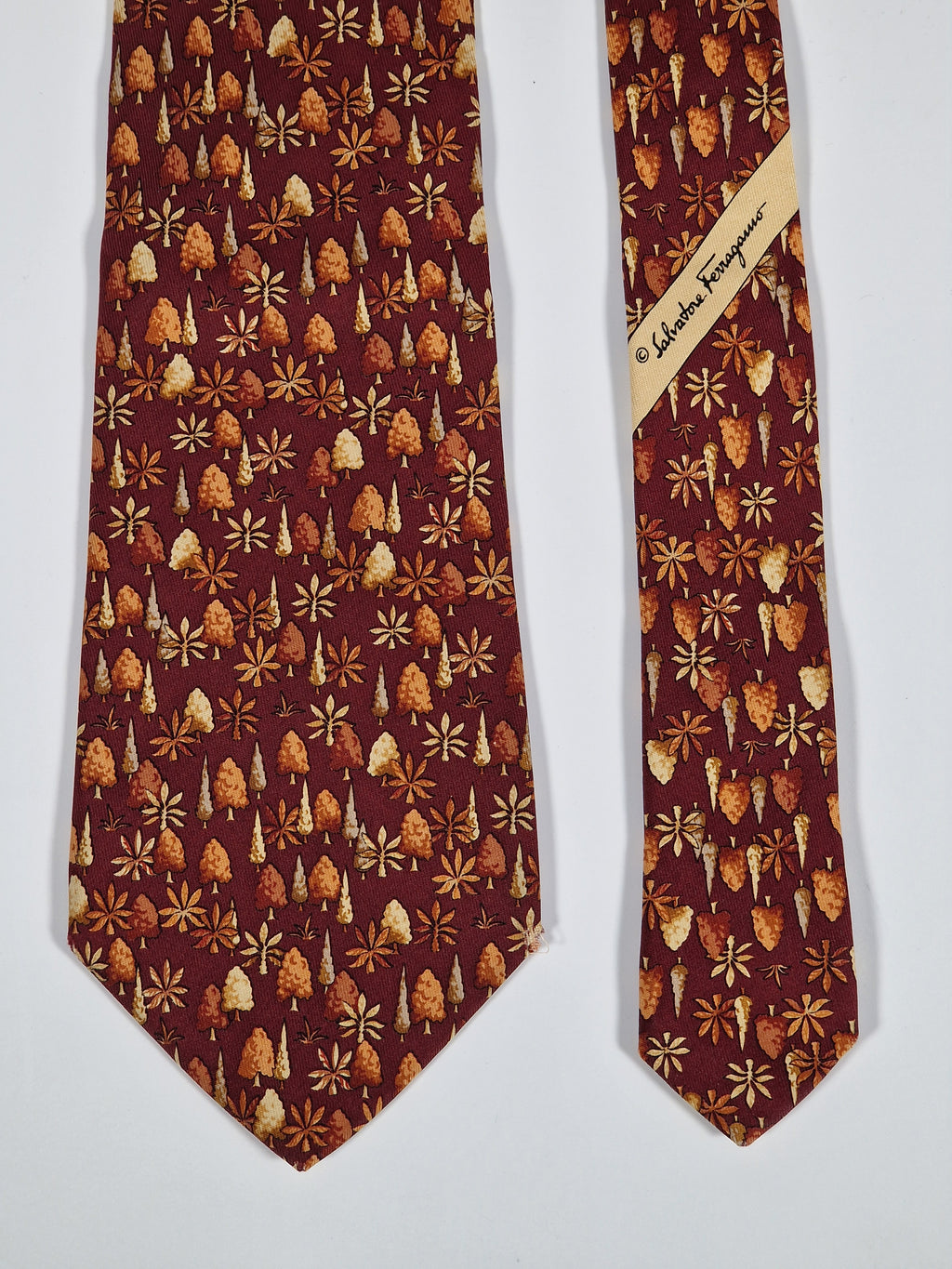 Salvatore Ferragamo Tie