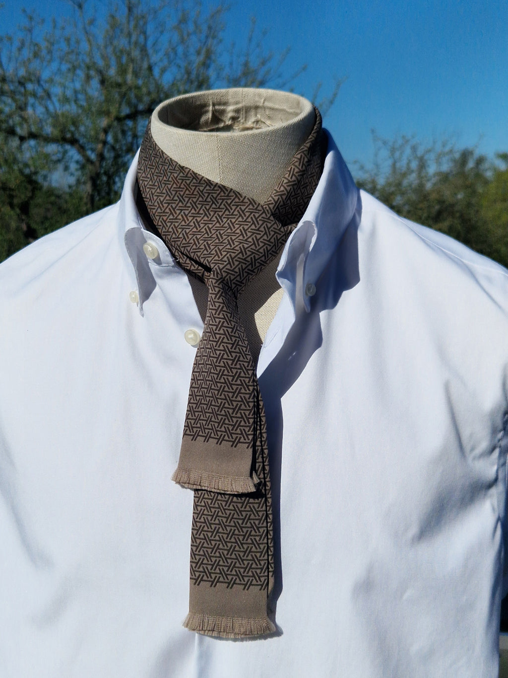 Hermès Silk Scarf Ties brown