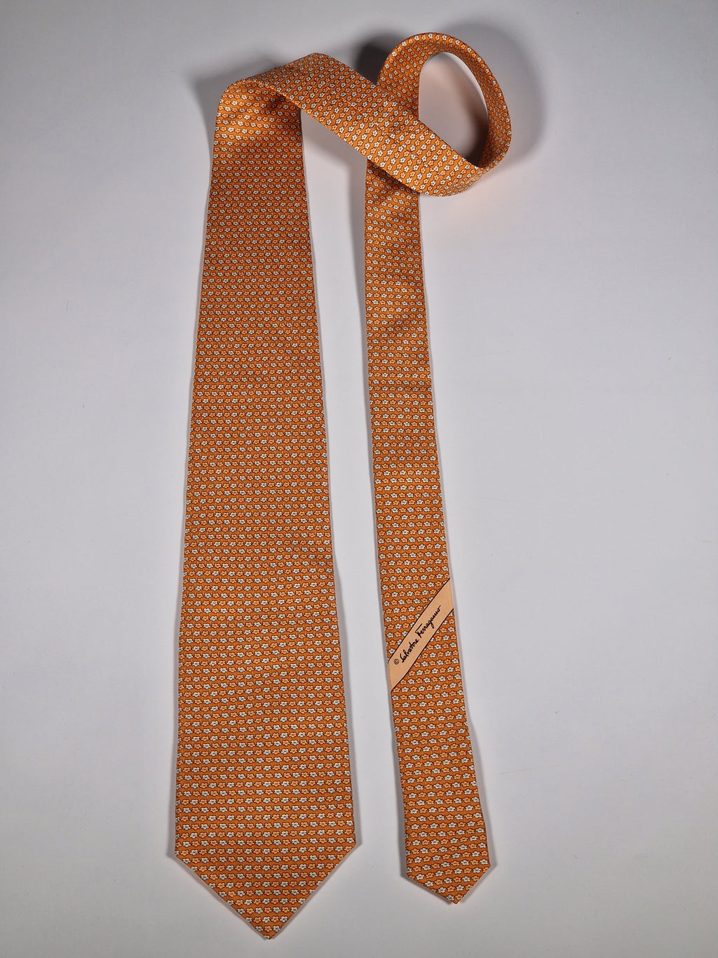 Salvatore Ferragamo tie