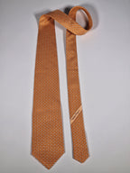 Salvatore Ferragamo tie