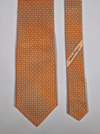 Salvatore Ferragamo tie