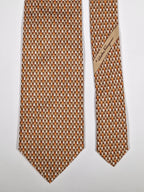 Salvatore Ferragamo tie