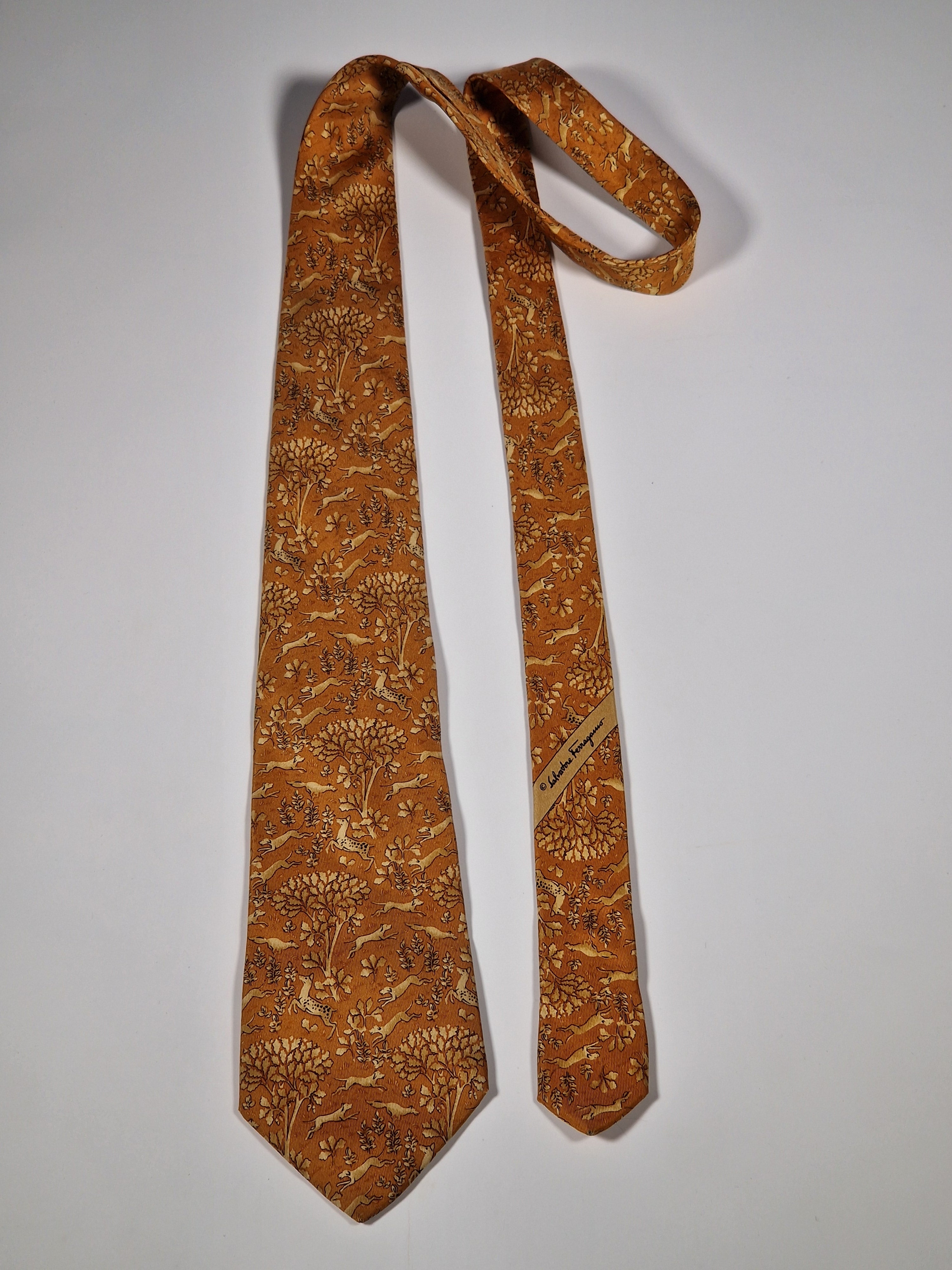 Salvatore Ferragamo tie