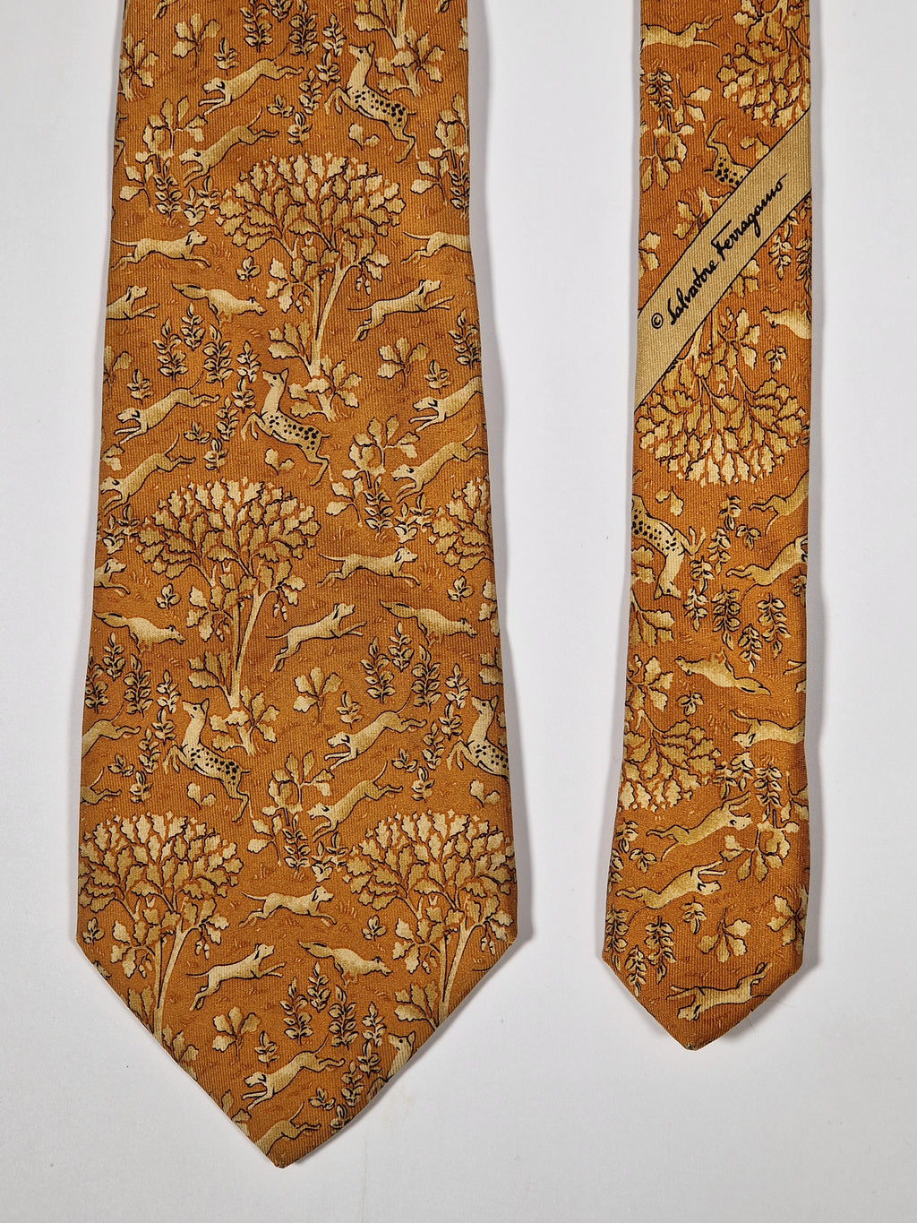 Salvatore Ferragamo tie