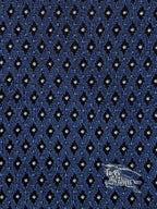 Burberry tie