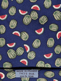 Hermès silk tie blue watermelon pattern 7435 HA