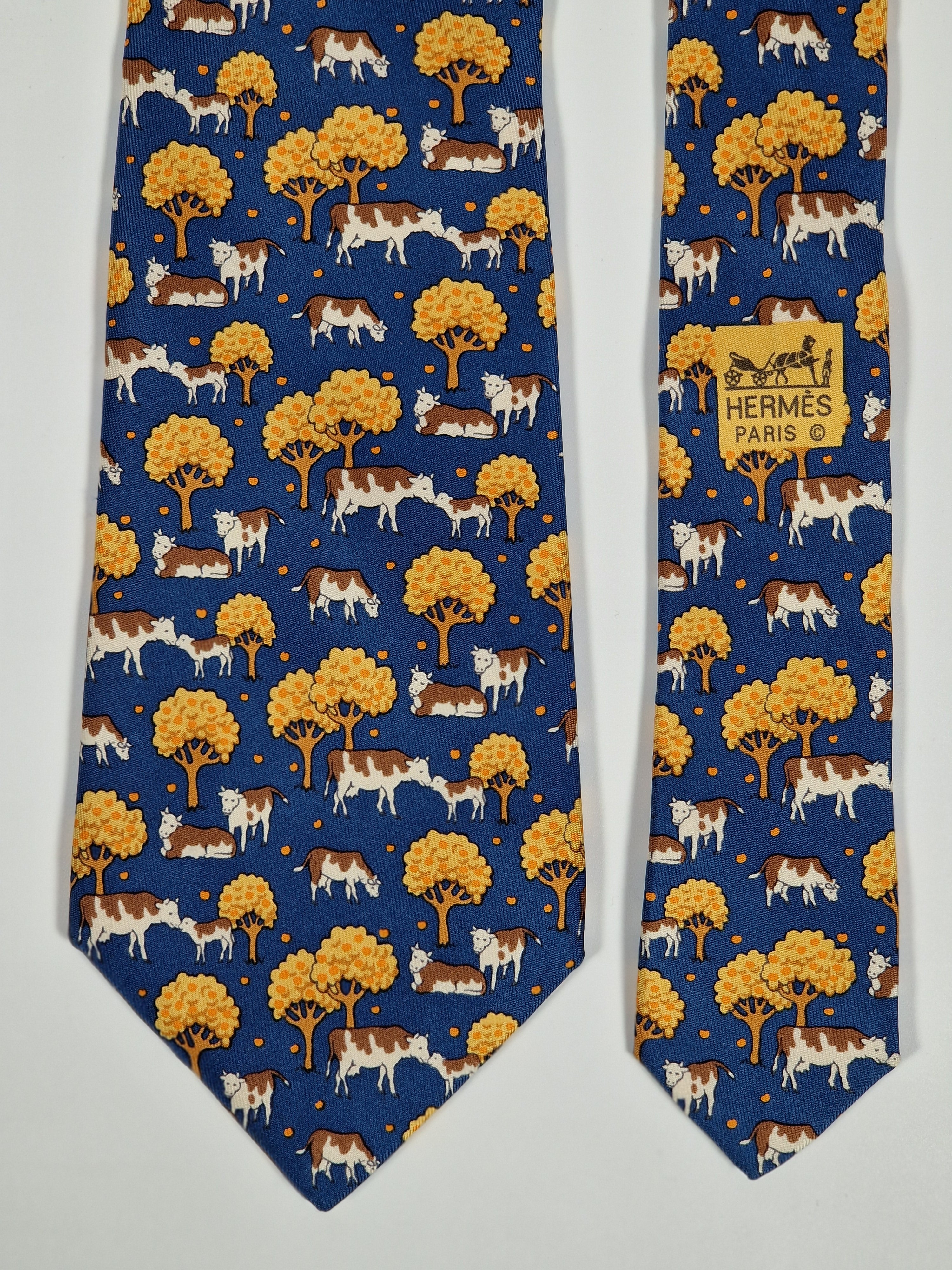 Hermés 7527 IA Tie