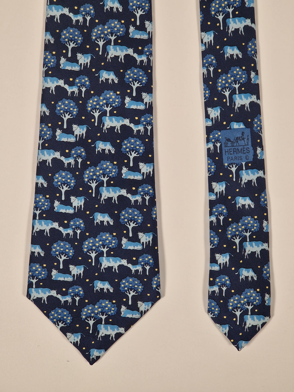 Hermès 7527 IA Tie
